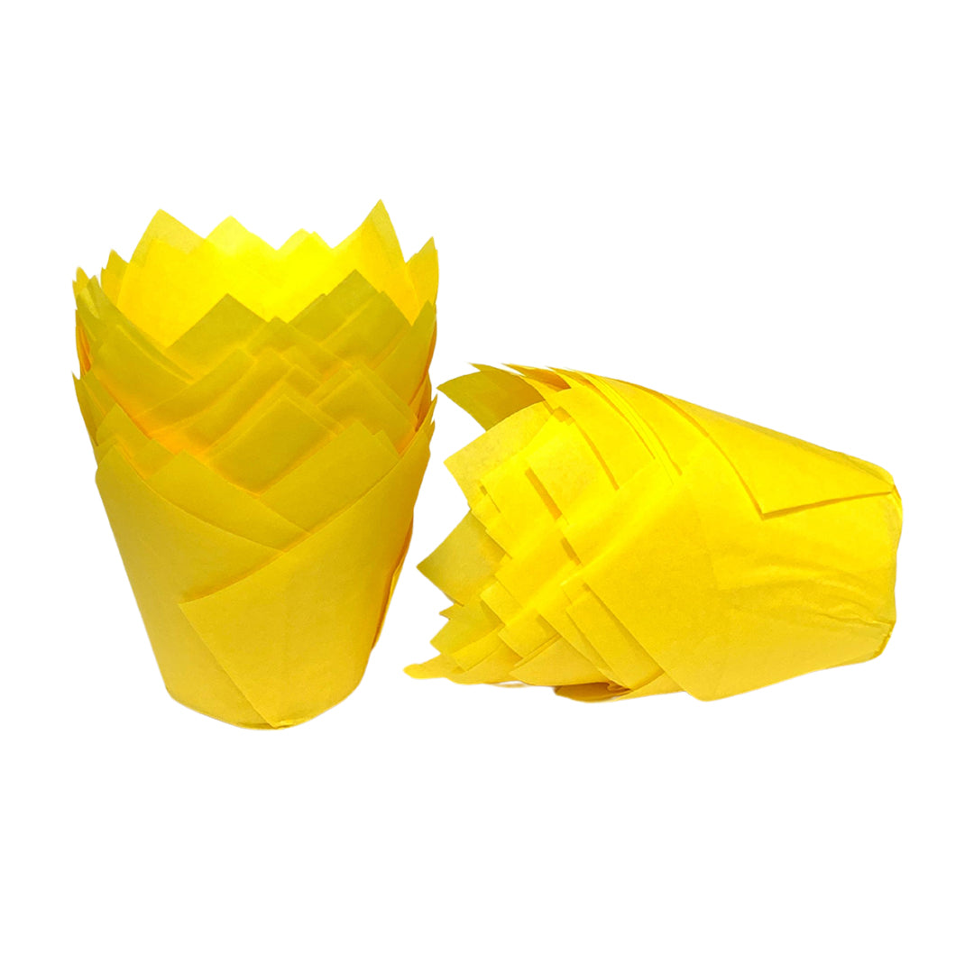 Capacillo Tulipán x100und