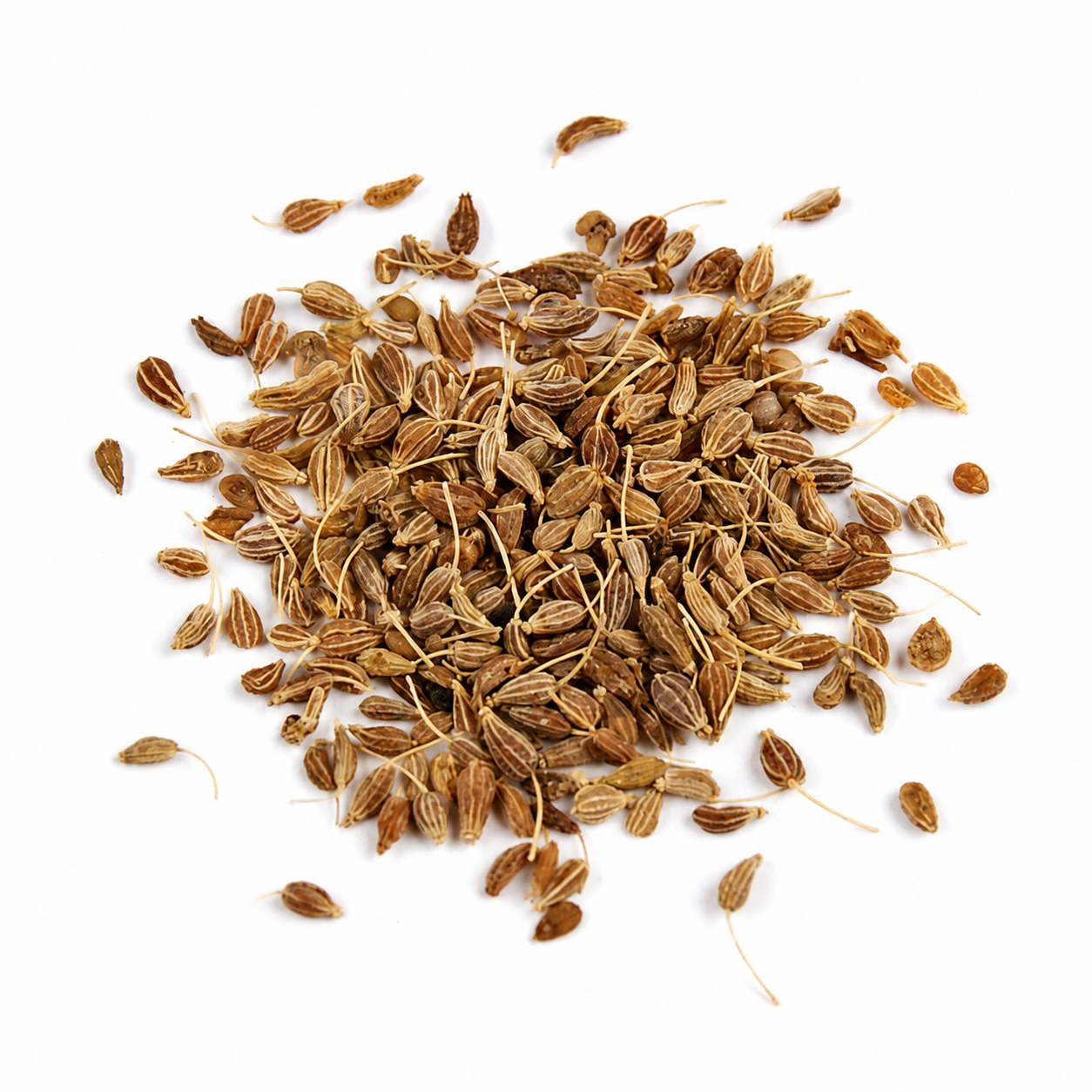 Anís en grano, fotografía de producto con fondo blanco