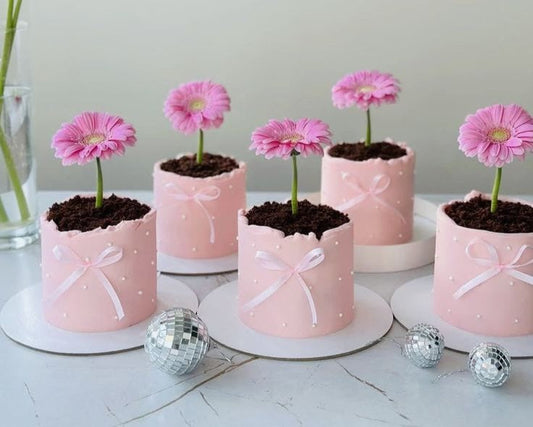 Taller Práctico: Decoración