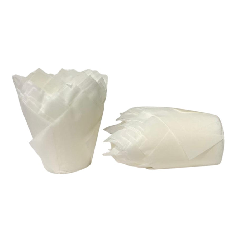 Capacillo Tulipán x100und